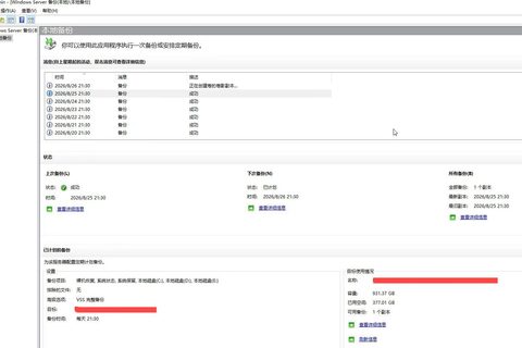 Windows Server 2019 服务器备份异常排查，每日备份成功仅保留最新单副本修复